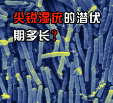 ʪǱڶ೤