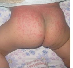 С괯