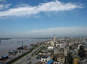 治疗脱发的方法