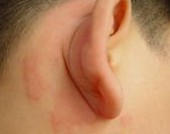 ݡҽԺļҺ